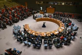 Réunion du Conseil de sécurité de l'ONU réuni sur une motion pour un cessez-le-feu à Gaza, le 22 mars 2024 à New York