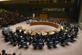 Le Conseil de sécurité de l'ONU le 24 octobre 2017