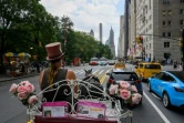 La cochère Christina Hansen conduit sa calèche à cheval dans les rues de Manhattan,  le 26 août 2022 à New York