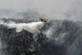 Un Canadair procède à un larguage d'eau près du village de Kontodespoti sur l'île grecque d'Eubée en proie à un incendie, le 14 août 2019