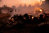 Un cheval dans son enclos, non loin des braises du "Mountain Fire" près de Camarillo, en Californie, le 6 novembre 2024