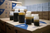 Des bouteilles contenant des insectes piégés il y a vingt ans et d'autres piégées aujourd'hui par la société d'entomologie, le 9 mai 2019 à Krefeld, en Allemagne