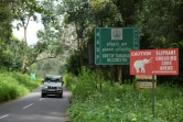 Un panneau avertissant du possible passage d'éléphants sauvages sur une route de la réserve Mudumalai Tiger (Inde) le 17 septembre 2021 