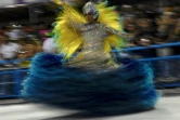 Une danseuse de l'école de samba Paraiso do Tuiuti lors de la première nuit du carnavla de Rio le 23 février 2020.
