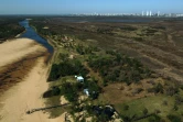 Un bras presque asséché du fleuve Parana affecté par une sécheresse historique, le 22 août 2021 à Rosario, en Argentine