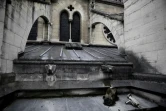 Détail du toit de la cathédrale Notre-Dame de Paris, endommagée par la pollution de l'air et les pluies acides, le 28 juin 2017