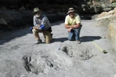 Une photo fournie par le groupe Nature montre les chercheurs Martin Lockley (D) et Ken Cart à genoux devant des traces fossiles datant du Crétacé dans l'Etat du Colorado où ont vécu des théropodes, un groupe de dinosaures, le 7 janvier 2016