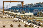Vue générale d'une partie de l'usine de dessalement de Ras al-Khaïr, dans l'est de l'Arabie saoudite, le 30 mars 2023