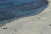 Une femme profite seule du soleil à la plage à Myconos, le 12 mai 2020 où les touristes ont déserté à cause de la crise sanitaire mondiale