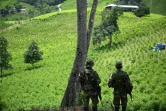 Des membres du front Carlos Patino de la guérilla dissidente des Farc en patrouille dans des champs de coca dans le canyon de Micay, en Colombie, le 24 mars 2024