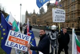 Des pro et anti-Brexit manifestent devant le Parlement, le 14 janvier 2019 à Londres