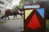 Le cheval Queteur dans les rues de Stains pour la collecte de déchets alimentaires, le 16 octobre 2023 en Seine-Saint-Denis