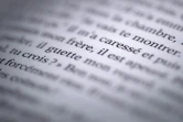 Une page du livre "La Familia grande"' de Camille Kouchner