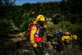 Des pompiers privés travaillant pour les groupes papetiers Navigator et Altri s'exercent à Abrantes, au Portugal, en août 2019