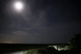 Le chasseur Enrique Galan cherche des pythons birmans dans le parc national des Everglades, le 8 août 2022 en Floride