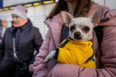 Une jeune fille ukrainienne, arrivée en Pologne depuis son pays, dans un centre d'accueil pour réfugiés à Przemysl (sud-est de la Pologne), le 19 mars 2022 