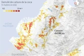 Le canyon del Micay en Colombie