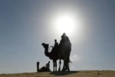 Dromadaires dans le désert de Thar, au Rajasthan, le 7 octobre 2021