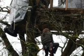 Un opposant au projet Cigéo d'enfouissement des déchets nucléaires grimpe dans une cabane érigée dans un arbre du Bois Lejuc, le 22 février 2017 à Mandres-en-Barrois, près de Bure (Meuse)