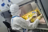 Un technicien travaille sur des cellules infectées par le virus du Sars-Cov-2 au laboratoire de la société de biotechnologie Valneva, le 30 juillet 2020 à Saint-Herblain, près de Nantes