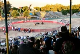 Quelque 4.000 spectateurs, pour la plupart d'origine portugaise, assistent à une corrida portugaise sans effusion de sang le 10 juillet 2022 à Turlock, dans le centre de la Californie