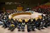 Réunion du Conseil de sécurité de l'ONU, le 24 février 2018 à New York