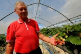 Jean-Claude Terlet doute qu'un éventuel produit de substitution au glyphosate soit moins nocif