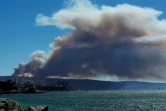 Un épais nuage de fumée causé par par un incendie s'échappe d'une forêt près de Valpareiso (Chili) le 2 janvier 2017