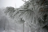 De la neige en Corse, à Ghisoni, le 22 février 2018