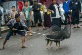 Un employé municipal attrape un chien errant qui sera envoyé au refuge Thabarwa, le 4 juillet 2019 à Rangoun, en Birmanie