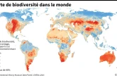 Perte de biodiversité dans le monde