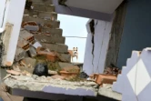 Un chien dans un immeuble effondré le 28 novembre 2019 à Durres sur la côte Adriatique après un séisme meurtrier