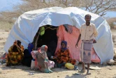 Des Yéménites assis à l'extérieur de leur tente dans un camp de déplacés à la périphérie de la ville de Taez, au sud du pays, le 11 janvier 2017