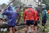 Photo diffusée le 26 juillet 2023 par les garde-côtes philippins d'un arbre abattu par le passage du typhon Doksuri à Buguey, dans la province de Cagayan