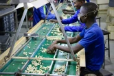 Des employés trient les noix de cajou dans l'usine de Condor Nuts, le 9 mars 2018 à Nampula, au Mozambique
