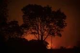 Incendie au Pantanal près de la route Transpantaneira, le 12 septembre 2020 au Brésil