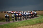 L'arrière du peloton pendant la 8e étape du Tour de France, entre Semur-en-Auxois et Colombey-les-deux-Eglises, le 6 juillet 2024