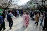 Promenade parmi les cerisiers en fleurs à Tokyo, le 22 mars 2020
