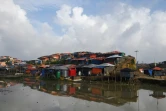 Près d'un million de réfugiés rohingyas sont entassés dans les camps au Bangladesh