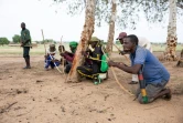 Des membres du groupe de vigilance "Pala-Coton Tchad", s'entraînent dans une forêt à Pala, au Mayo-Kebbi Ouest, le 15 juin 2024 au Tchad