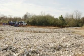 Des coquilles d'huîtres qui seront recyclées en récifs par la Galveston Bay Fondation, le 21 décembre 2020, à Pasadena, au Texas
