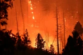 Le Dixie Fire à Twain, le 26 juillet 2021 en Californie