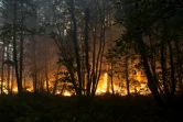 Incendie à Clefs-Val-D'Anjou, près de La Flèche, dans l'ouest de la France, le 9 août 2022