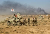 Les forces irakiennes avancent dans Tal Afar, l'un des derniers bastions de l'Etat islamique en Irak, le 22 août 2017