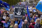 Manifestation d'ampleur à Londres pour réclamer un nouveau référendum sur le Brexit, le 19 octobre 2019