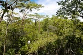 Le parc national Ankarana à Madagascar photo Noel Thomas