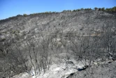 A La Garde-Freinet, dans le Var, après l'incendie, le 19 août 2021 