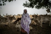 Dans le camp de  Banguetaba, près de Sévaré, dans le centre du Mali, où des bergers peuls se sont réfugiés avec leurs troupeaux pour fuir les violences. Le 8 juillet 2019