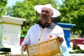 L'apiculteur Gezim Skermo (g) dans sa ferme apicole, le 13 mai 2020 à Plasa, en Albanie