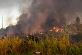 Les pompiers étaient fortement mobilisés au Portugal, dans le centre du pays, vendredi 11 août 2017.